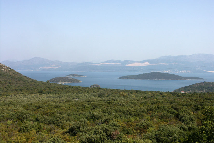 Obraz 264